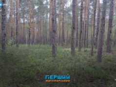 Верховний Суд став на захист унікального пралісу в області