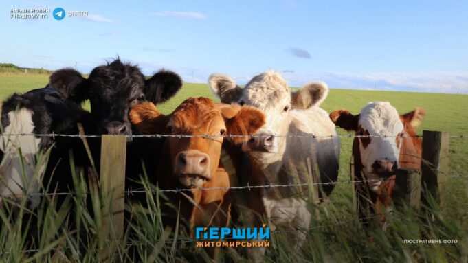 сайт головна(4)