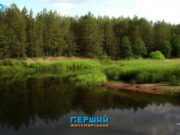 Атака на заповідник “Древлянський” обійшлася масштабну суму