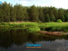 Атака на заповідник “Древлянський” обійшлася масштабну суму