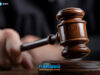 Як державі повернули десятки гектарів лісу на Звягельщині