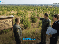Суд змусив Новогуйвинську селищну раду вирішити долю 1,6 тисячі гектарів землі