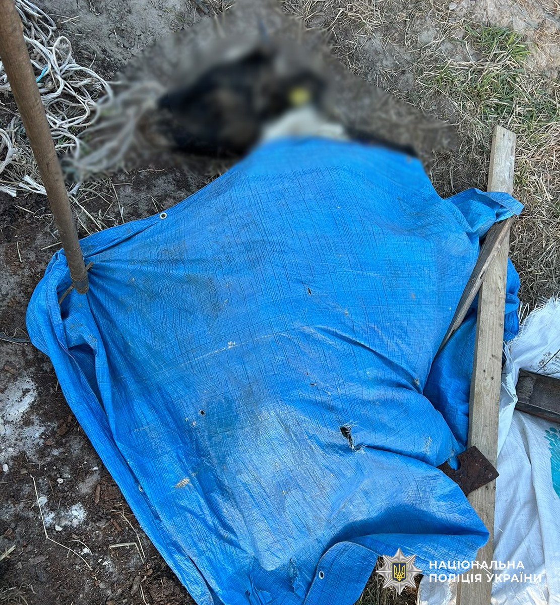 Слідчі дії на фермі у Звягельському районі