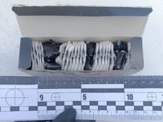 Особливий товар у коробці з чаєм ховала жителька Брусилова наркотики брусилів