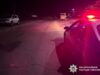 На смерть маршрутка збила людину на темній дорозі у Звягелі дтп зі смертю в Звягелі