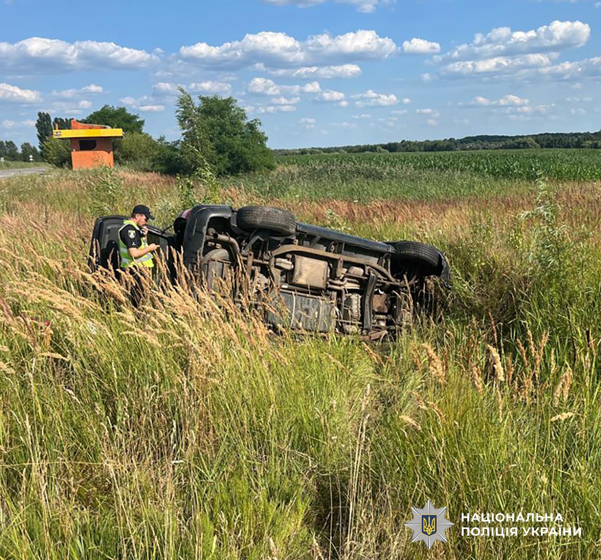 Наслідки лобового зіткнення на Житомирщині