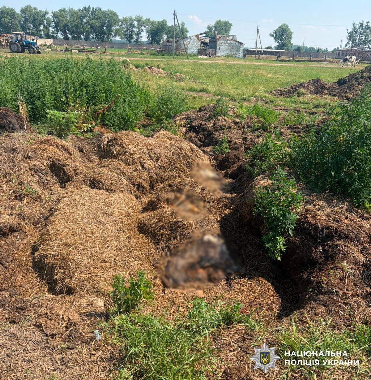 Перевірка документів поліцією на підприємстві