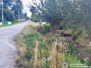 Підлітки на мотоциклі влетіли у паркан в Романівці ДТП з неповнолітніми в Романівці