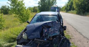 ДТП BMW та вантажівки під Житомиром закінчилось лікарнею дтп в Миролюбівці