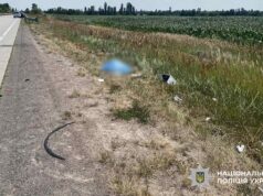 Під Коростенем на смерть збито водія електровелосипеда смертельна ДТП в Коростенському районі