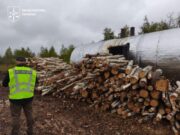 Підпільне випалювання вугілля на Коростенщині несло збитки незаконне виробництво вугілля