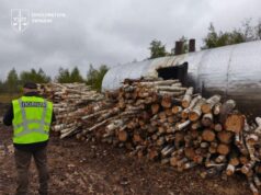 Підпільне випалювання вугілля на Коростенщині несло збитки незаконне виробництво вугілля