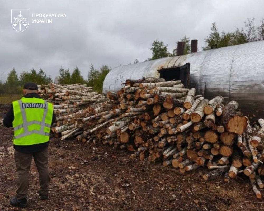 Забруднення екології через нелегальний бізнес