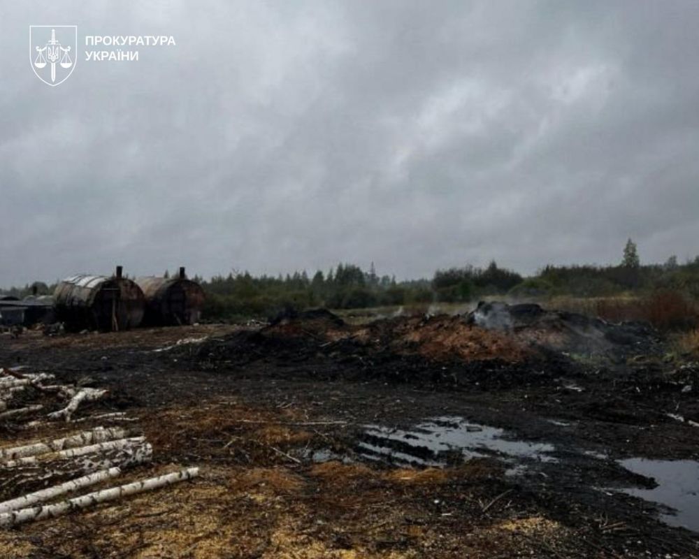 Підпільне випалювання деревного вугілля на Житомирщині