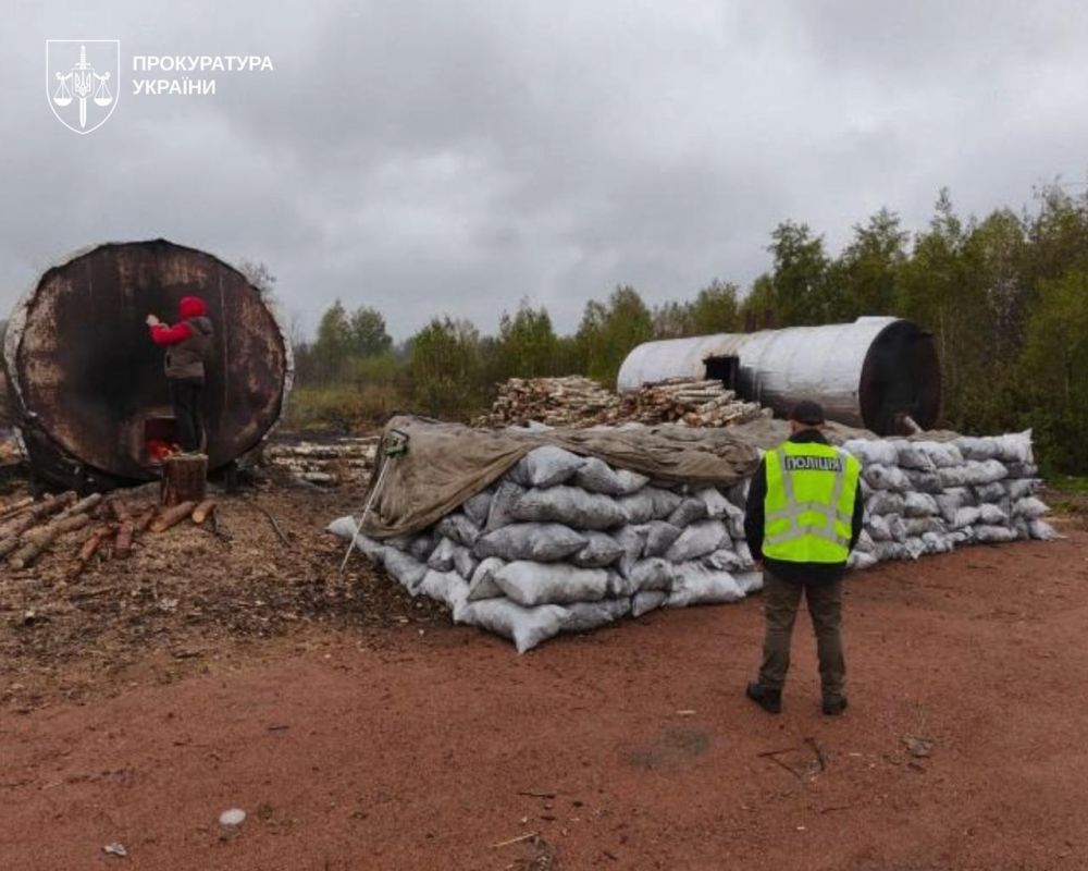 Наслідки незаконного виробництва вугілля
