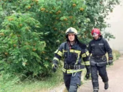 Горіла будівля БФ на території Ботанічного саду в Житомирі пожежа в ботанічному саду житомир