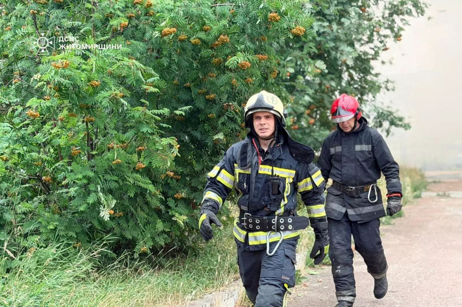 Пожежа в будівлі благодійного фонду Житомира