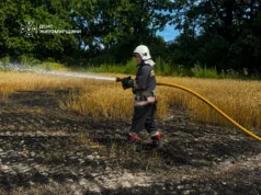 Через атаку на Житомирщину згоріли гектари врожаю Рятувальники ліквідовують загорання пшениці на Житомирщині