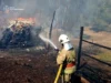 Пожежа на Коростенщині загрожувала двом житловим будинкам