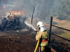 Пожежа на Коростенщині загрожувала двом житловим будинкам