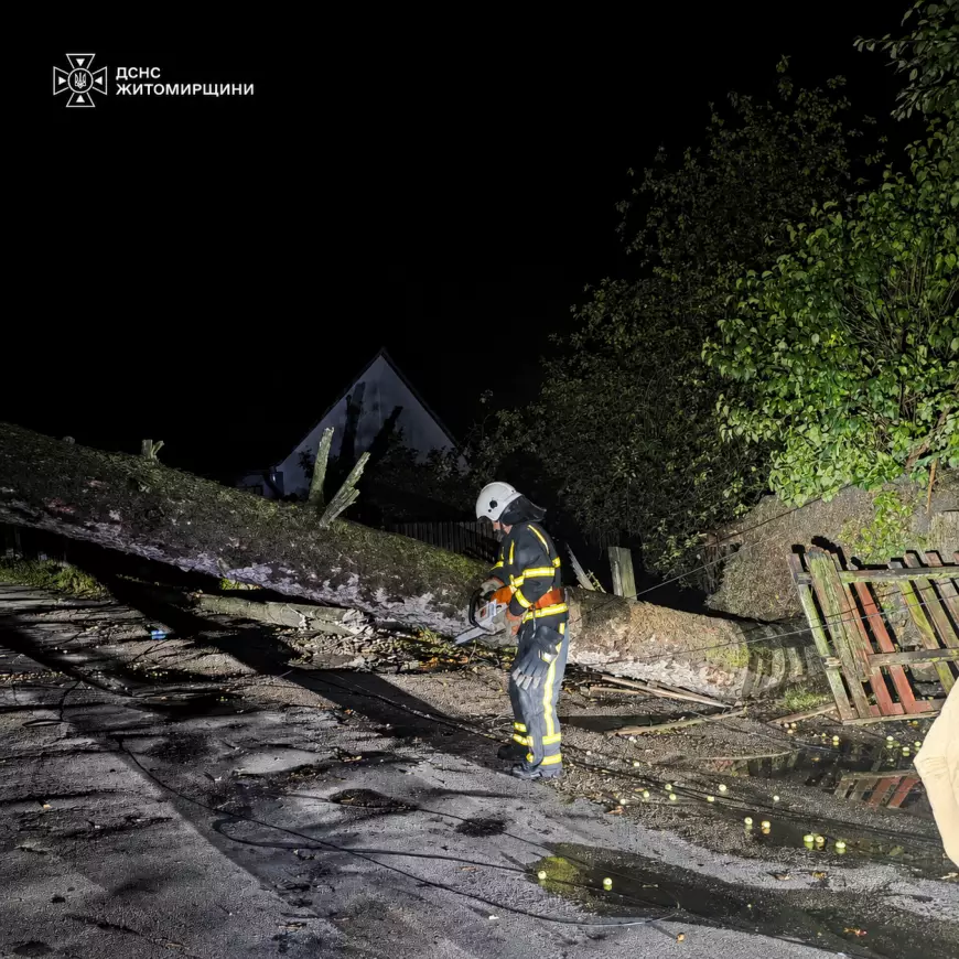 Повалене вітром дерево на даху будинку в Ємільчиному