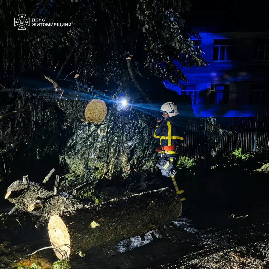 Рятувальники ДСНС розпилюють дерево на Житомирщині