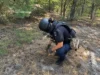 Похід за грибами на Коростенщині обернувся викликом саперів боєприпас у Різні