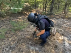 Похід за грибами на Коростенщині обернувся викликом саперів боєприпас у Різні