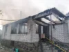 У палаючій від блискавки оселі під Житомиром рятували кота пожежа в Березівці