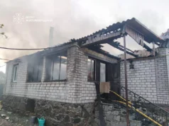 У палаючій від блискавки оселі під Житомиром рятували кота пожежа в Березівці