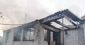 У палаючій від блискавки оселі під Житомиром рятували кота пожежа в Березівці