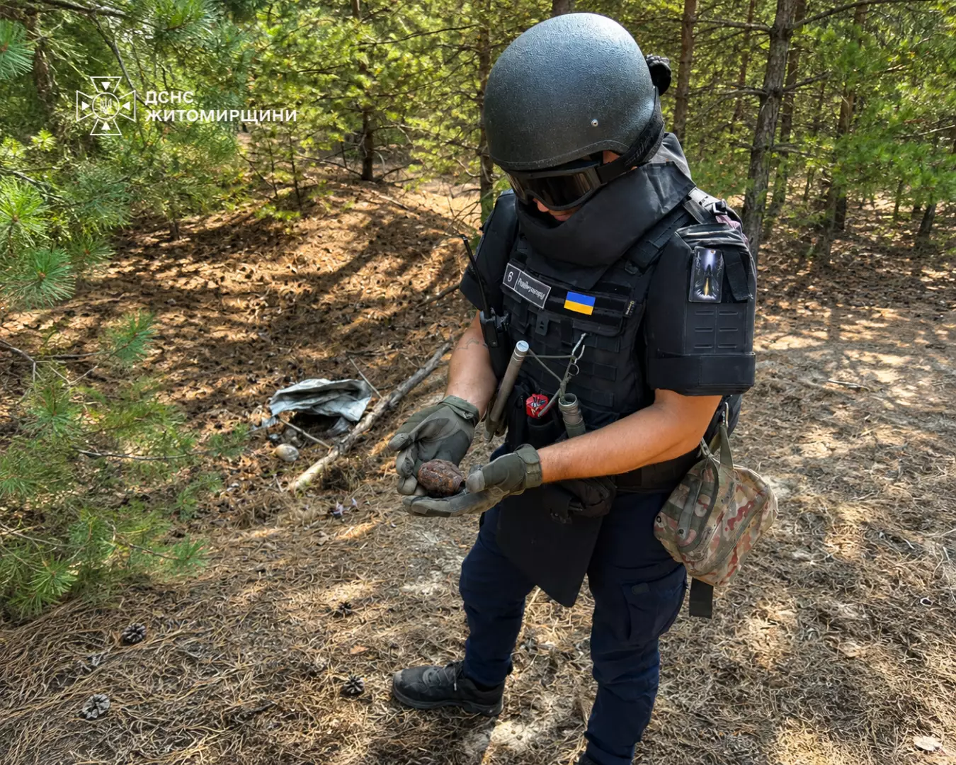 Ручна граната часів Другої світової війни знайдена грибниками