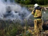 Масштаби пожеж екосистем охопили кілька районів області пожежі