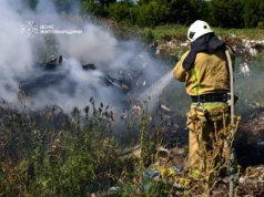 Масштаби пожеж екосистем охопили кілька районів області пожежі
