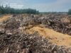 Гори тирси на Овруччині обійшлися порушникам у понад 1,5 мільйона гривень засмічення лісових земель на Овруччині