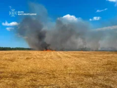 Пожежі на Житомирщині ледь не залишили людей без житла пожежа