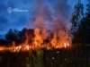 Що сталось із жінкою, яка гасила пожежу в Кичкірях пожежі житомирщини