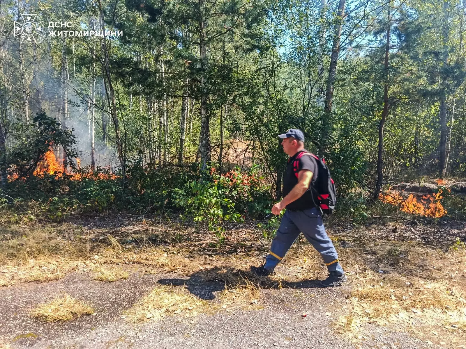 Рятувальники ДСНС ліквідовують пожежу на Коростенщині