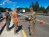 На об’їзній біля Житомира загинула червонокнижна лосиха. Фото збили лося біля житомира