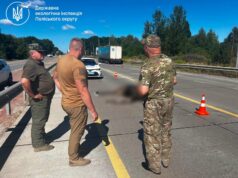 На об’їзній біля Житомира загинула червонокнижна лосиха. Фото збили лося біля житомира