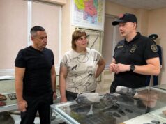 Артефакти віком до 8 тисяч років отримав Овруцький музей артефакти житомирщина