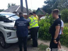 Ділки з Житомирщини знищили 4000 дерев і “відмили” мільйони схема з лісом