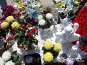 Крадіжка на Алеї слави у Звягелі завершилася криміналом наруга над могилою