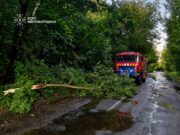 Повалені дерева заблокували рух автошляхами Житомирщини дощ житомирська область
