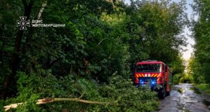 Повалені дерева заблокували рух автошляхами Житомирщини дощ житомирська область