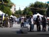 Як цьогоріч відзначили День молоді у Житомирі Активності на різних тематичних галявинах