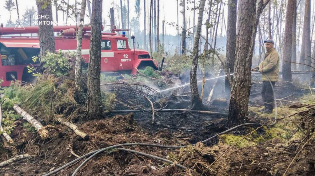 Понад пів сотні людей ліквідовують пожежу на Коростенщині
