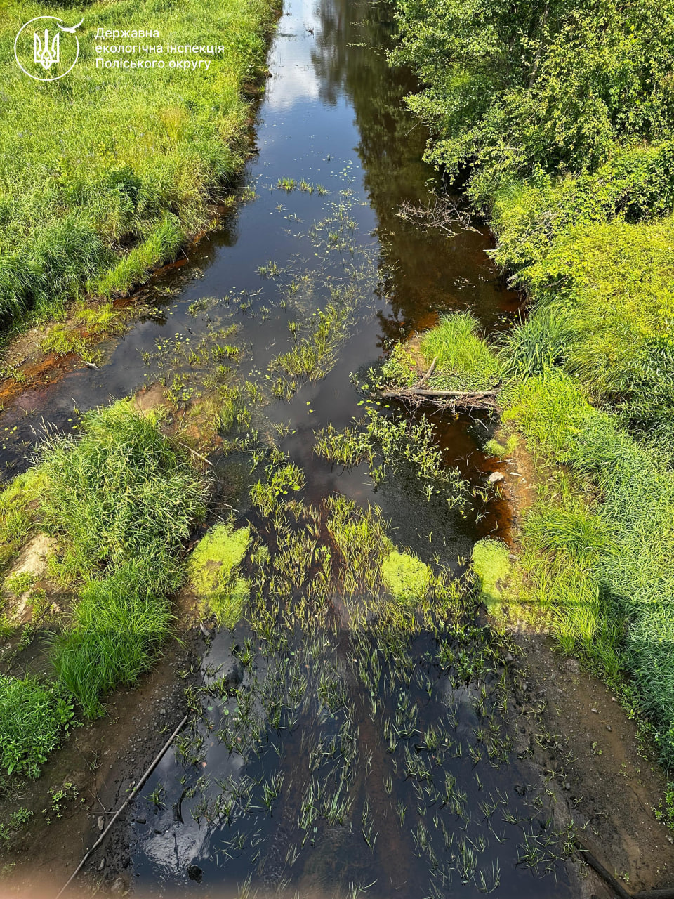 Падіння рівня води у водоймі
