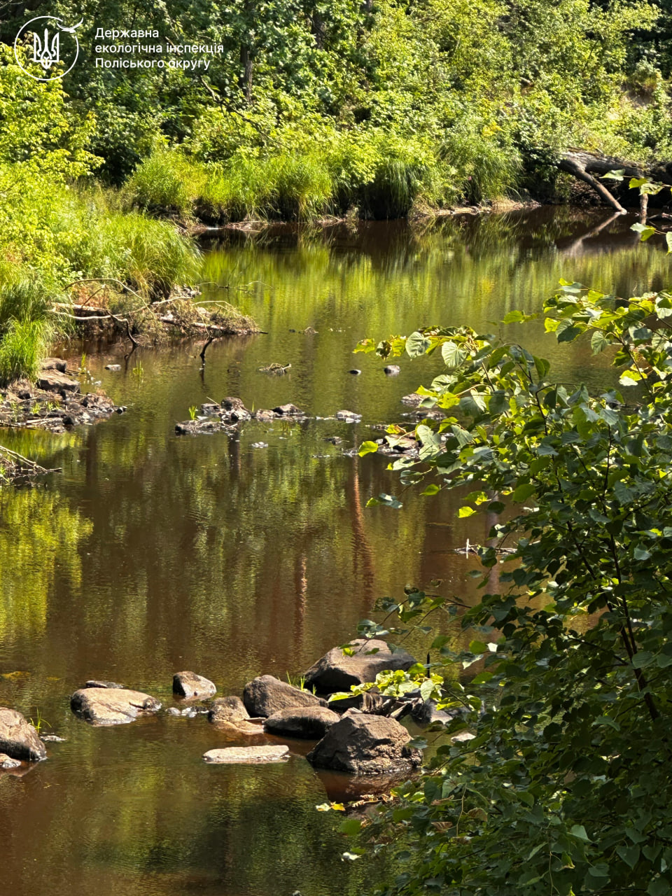 Відбір проб води екологами