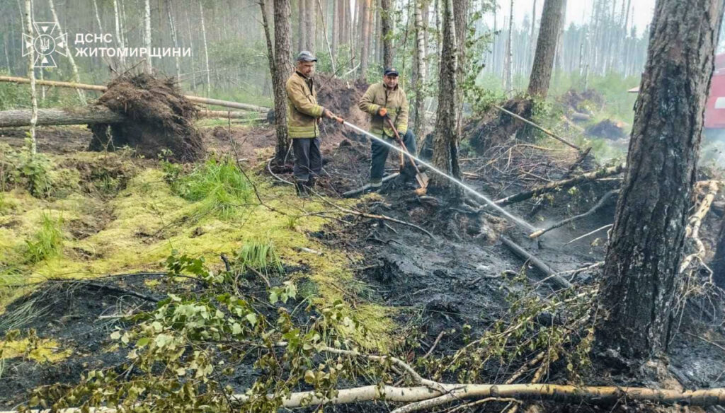 Понад пів сотні людей ліквідовують пожежу на Коростенщині